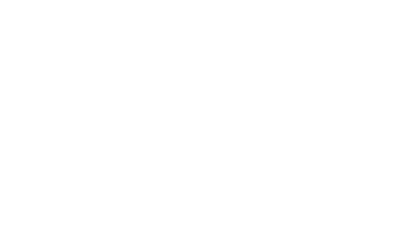 eVisa Iraq online visa application assistance logo